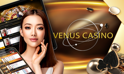 1win 4455 bet cassino H5